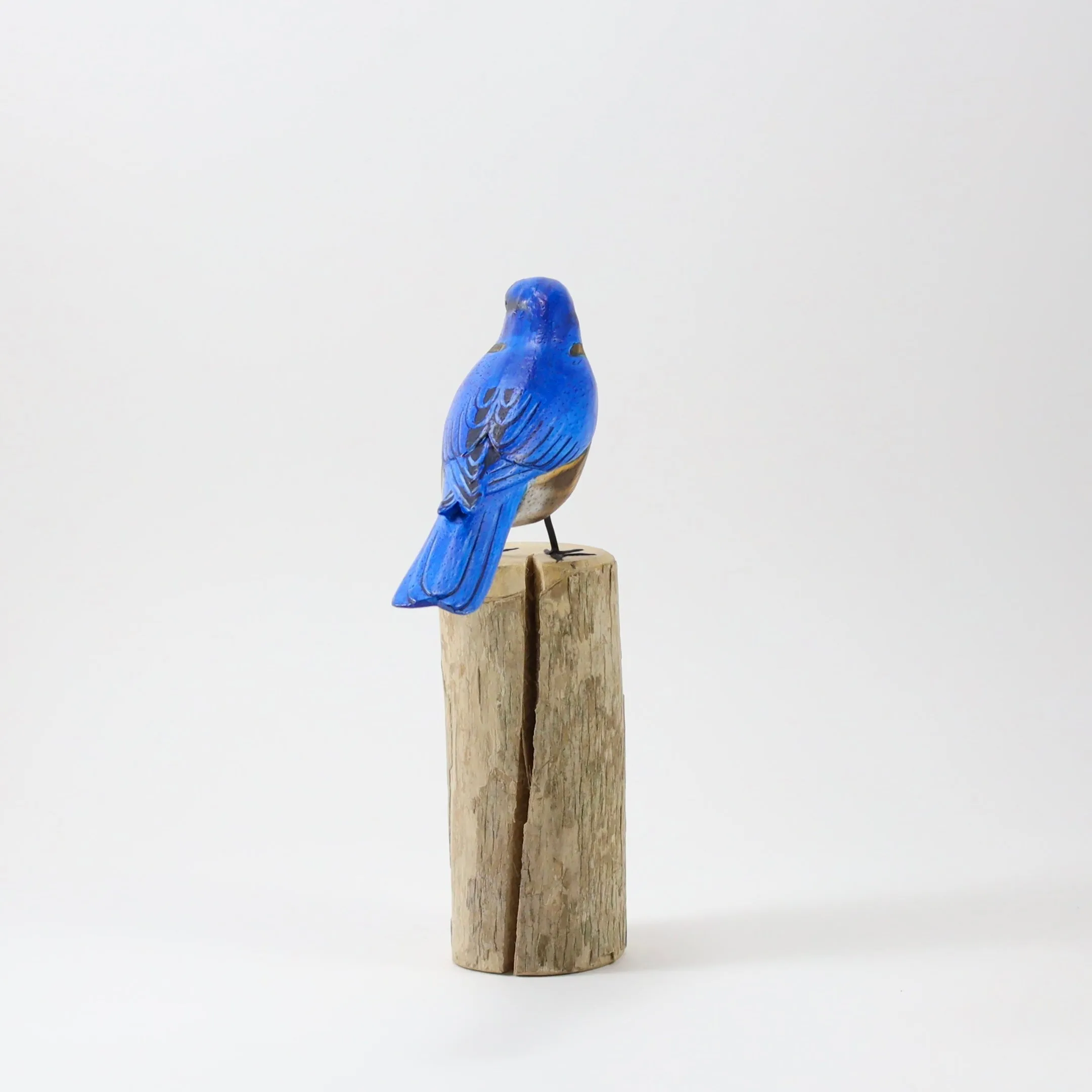 Bluebird in Wood