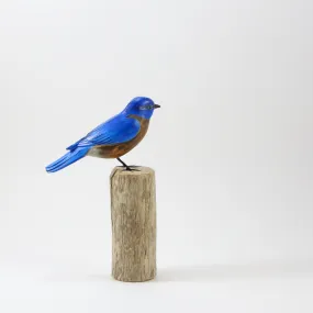 Bluebird in Wood