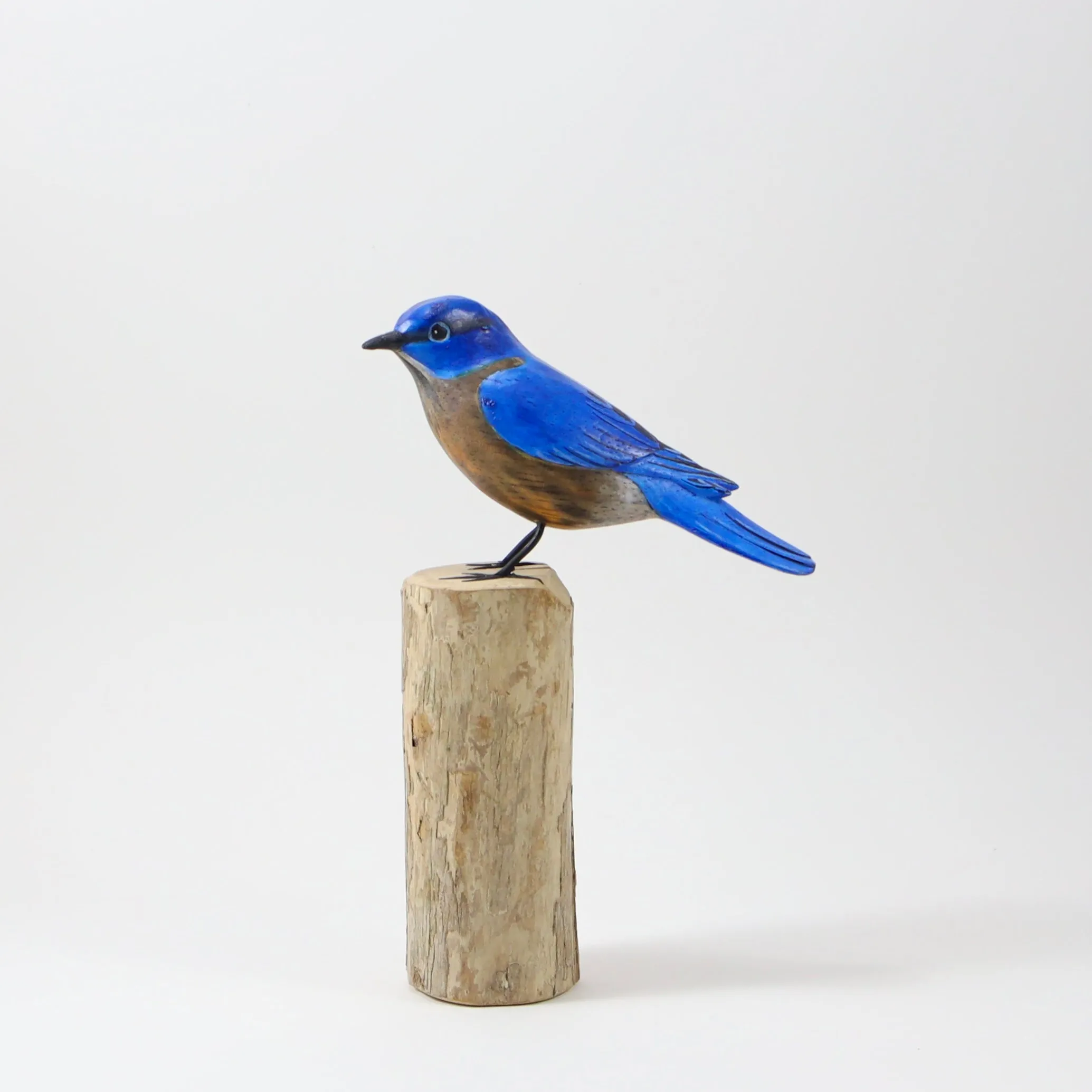 Bluebird in Wood